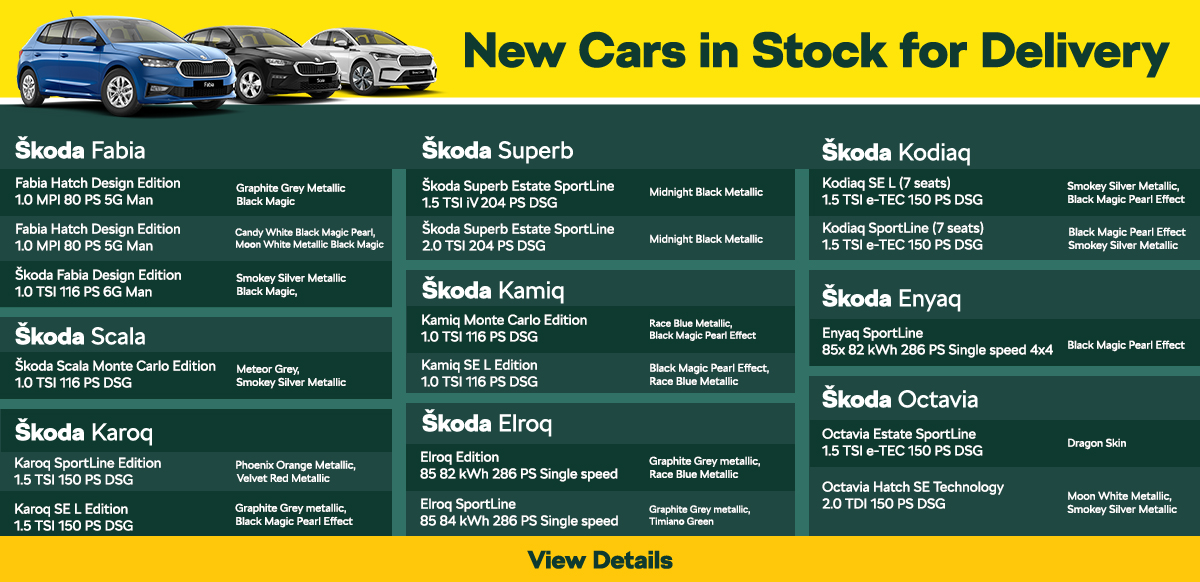 Skoda cars Delivery